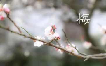 张家梅心得体会7篇