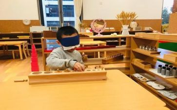 蒙氏教学心得参考8篇