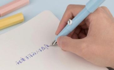 我是______迷作文400字精选6篇