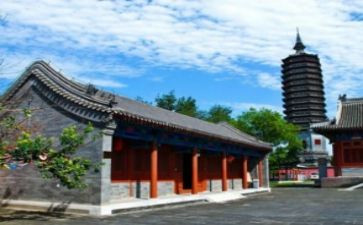 逛庙会活动总结8篇