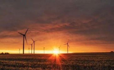 命运的作文推荐6篇