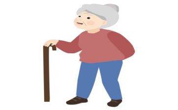 奶奶的爱作文500字6篇