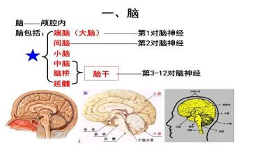 买卖电脑合同推荐8篇