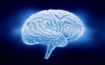 电脑课工作总结推荐8篇