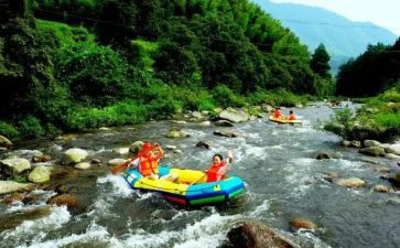 鲁宾新漂流记读后感最新8篇