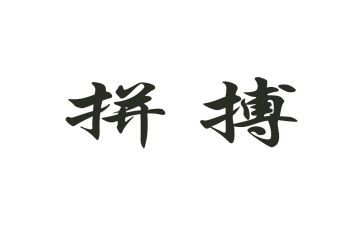 拼来的精彩作文精选8篇