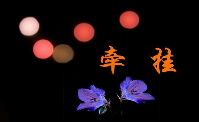 牵挂优秀作文最新8篇