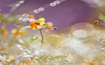 我牵挂的作文最新7篇