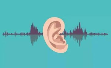 倾听历史的声音作文6篇