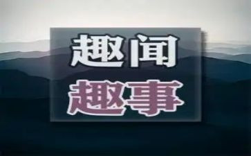 国庆趣事作文7篇