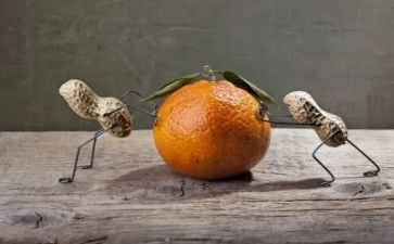 父亲节趣味活动方案7篇