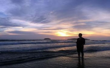 一个人朝圣的读后感最新7篇