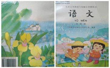 我是小主人教案7篇