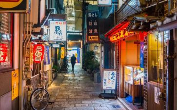 去日本后写心得体会7篇