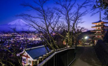 关于日本的作文6篇