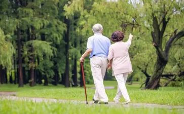散步、读后感优质8篇