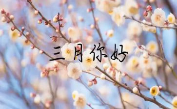 体育部三月工作总结5篇