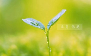 三月销售工作计划7篇