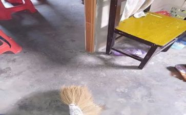 家庭大扫除作文6篇