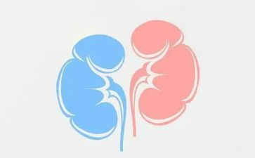 肾内科的自我鉴定总结8篇