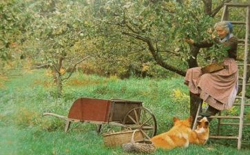 生活科工作计划优秀5篇