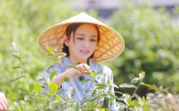 生活委心得体会5篇