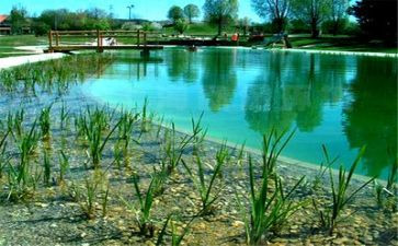 生态校园演讲稿6篇