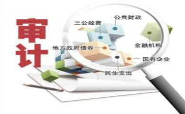 老审计工作总结模板6篇