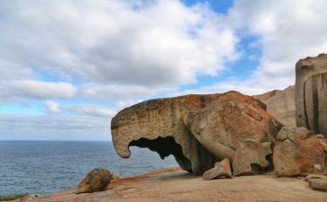 神奇的我作文500字推荐8篇