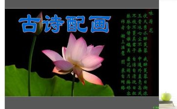 诗的读后感400字推荐6篇