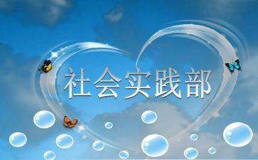 校实践部工作计划6篇