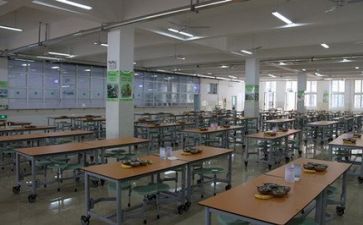 食堂财务自查报告5篇