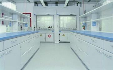 我做过的小实验的作文参考6篇