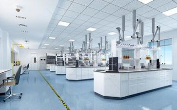 我做小实验的作文推荐6篇