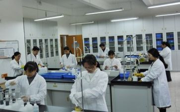 实验工作工作计划优质6篇