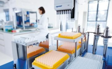 我做过的小实验的作文优秀7篇