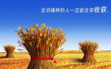 试用期工作收获和心得6篇