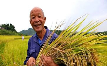 收获与成长演讲稿精选5篇