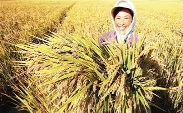 开学收获心得体会8篇