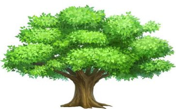 2024幼儿园植树节活动方案模板7篇