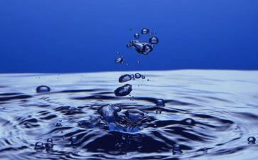 小班数学卖水果教案8篇