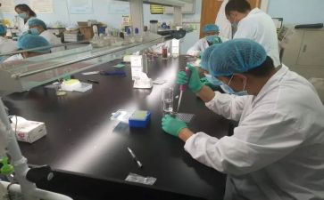 水化验培训总结7篇