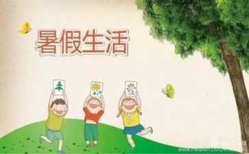 暑假总结的作文5篇