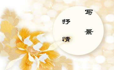 书抒情作文优秀5篇