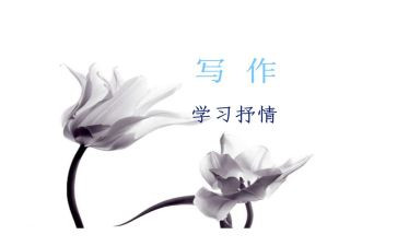 抒情作文800字7篇