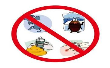 除四害的工作总结6篇