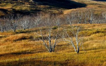 四季初中作文7篇