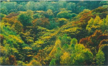 酒店年第四季度工作计划7篇