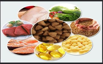 牛饲料销售工作总结8篇