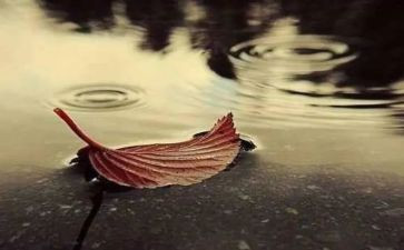 思念作文400字7篇